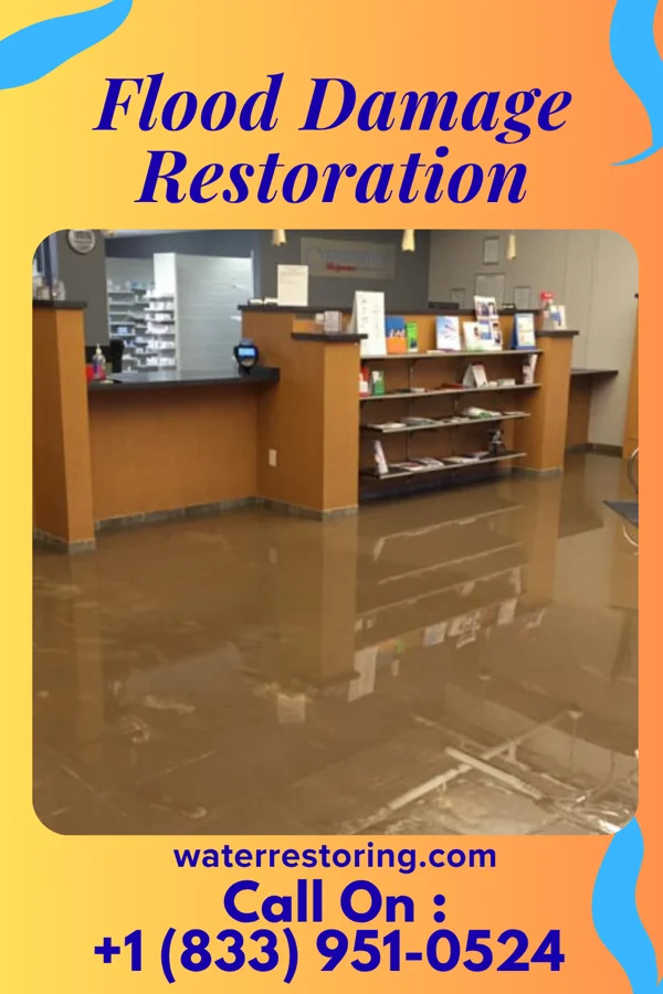 Flood Damage Restoration in Oak Grove, TN