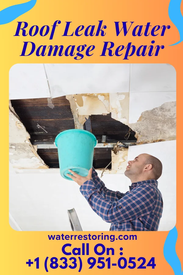 Roof Leak Water Damage Repair in Oak Grove, TN