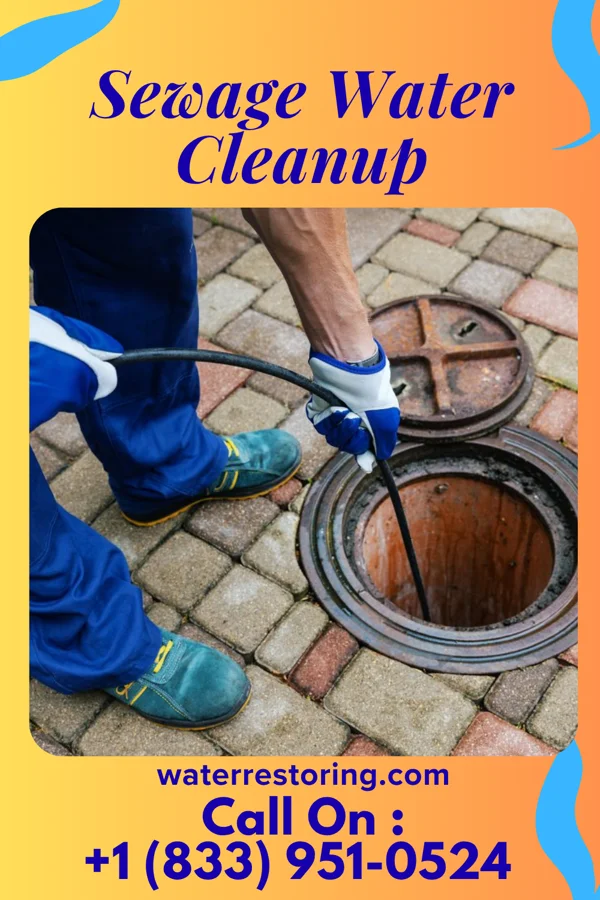 Sewage Water Cleanup in Oak Grove, TN